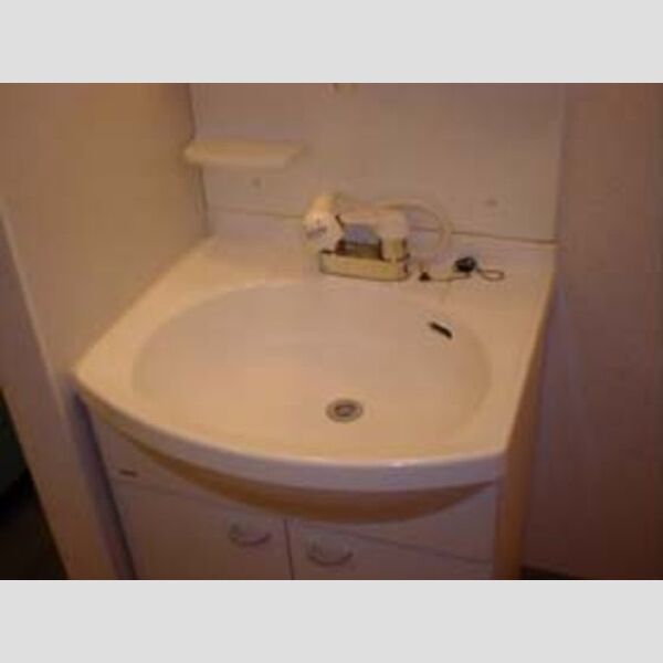 洗面所 (独立洗髪洗面化粧台)