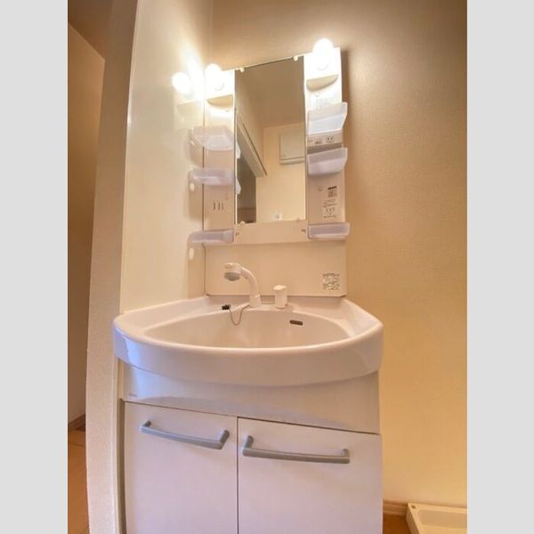洗面所 (洗髪洗面化粧台)