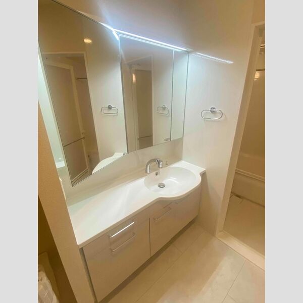 洗面所 (洗髪洗面化粧台)