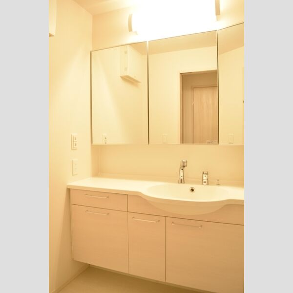 洗面所 (洗髪洗面化粧台)