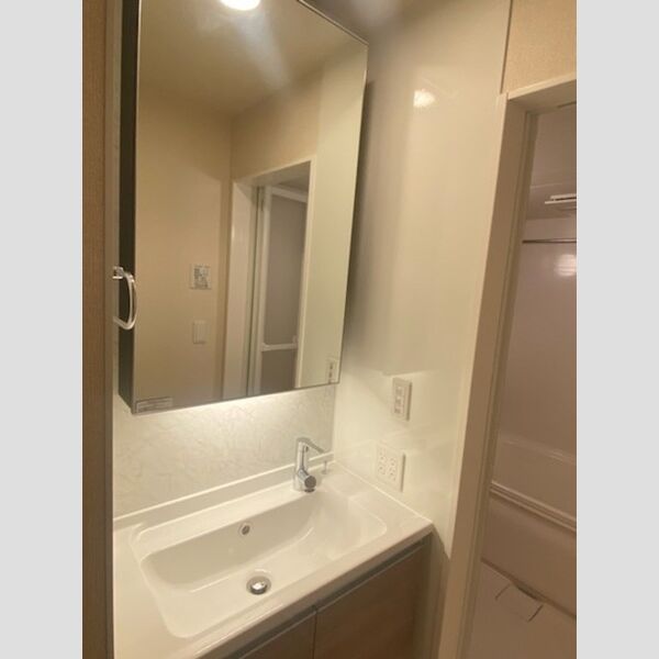 洗面所 (洗髪洗面化粧台)