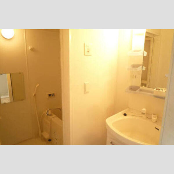 その他 (サニタリールーム)