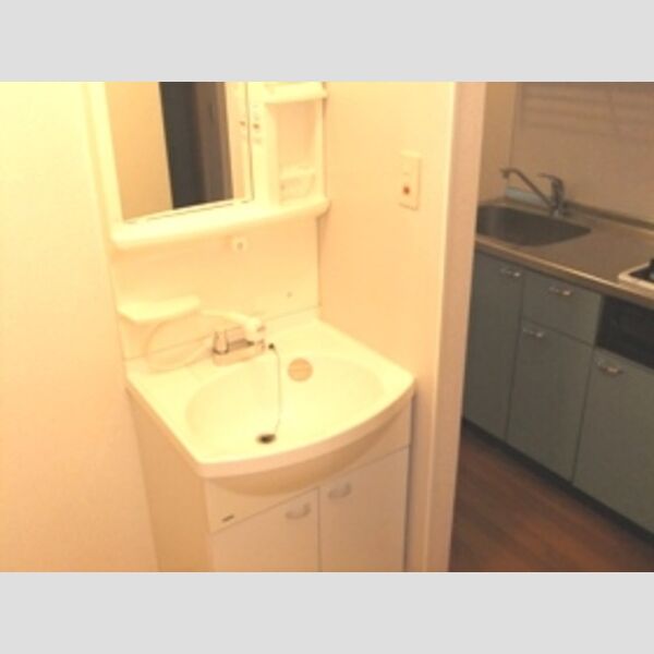 洗面所 (107:洗髪洗面化粧台)