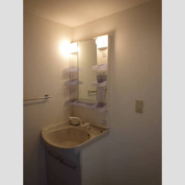 その他 (洗髪洗面化粧台)