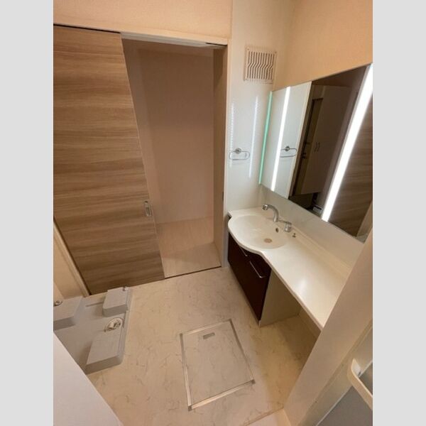 洗面所 (洗面所)