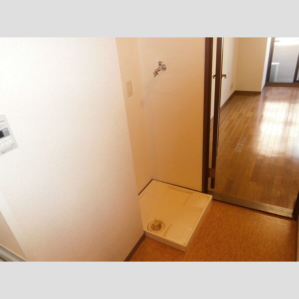 その他 (室内洗濯機置場)