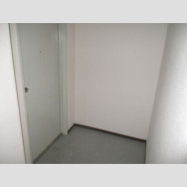 玄関 (玄関スペース)