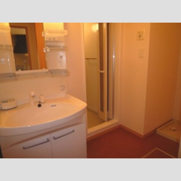 洗面所 (洗面化粧台・洗濯機置場201)