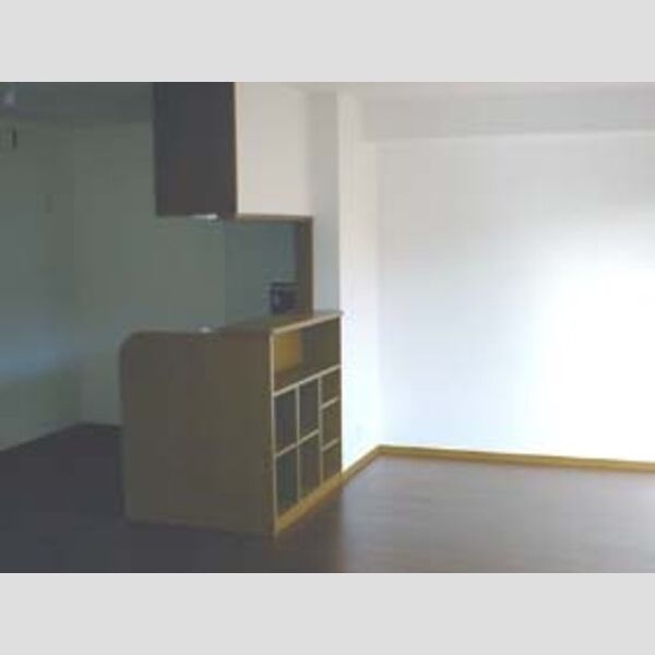 収納 (対面キッチン(収納棚付き))