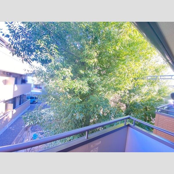 現地周辺 (眺望)