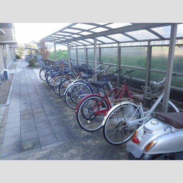 現地周辺 (駐輪場)