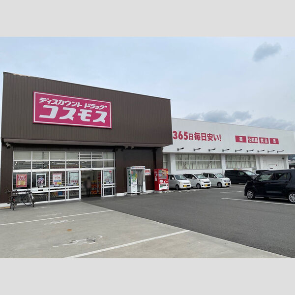 現地周辺 (コスモス)