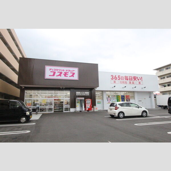 現地周辺 (ディスカウントドラッグコスモス葛本店(700m))