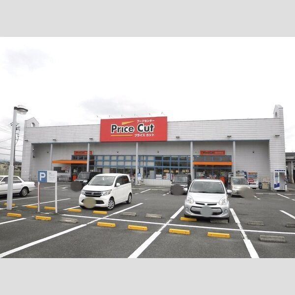 現地周辺 (プライスカット西の京店(300m))