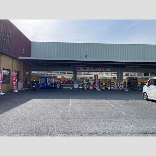 現地周辺 (ジャパン)