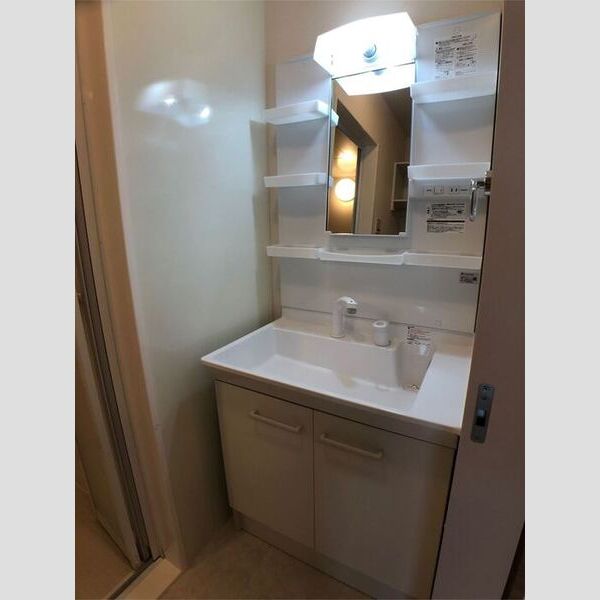 洗面所 (洗髪洗面化粧台)