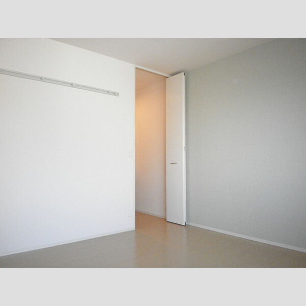 その他 (洋室(ウォークインクローゼット))