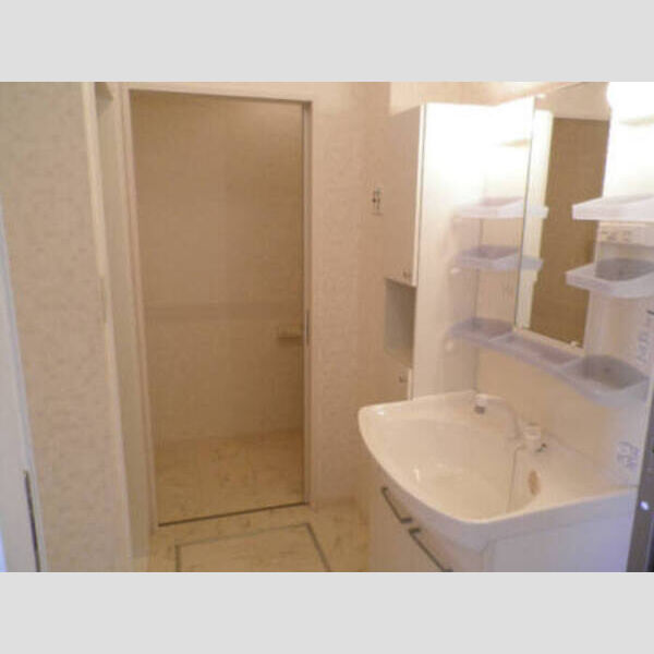 その他 (洗髪洗面化粧台)