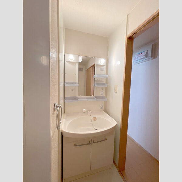 洗面所 (洗髪洗面化粧台)