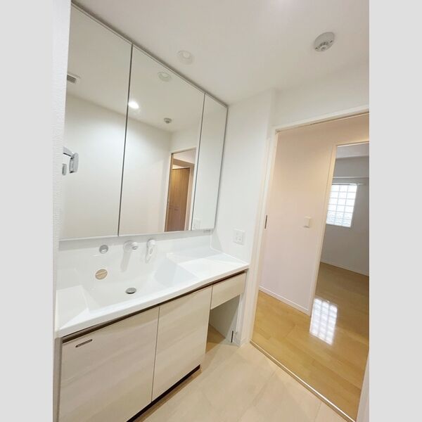 洗面所 (洗髪洗面化粧台)