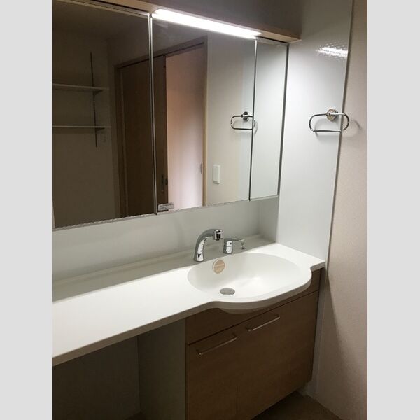 洗面所 (洗髪洗面化粧台)