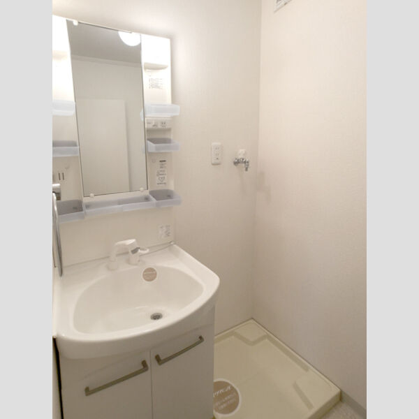 洗面所 (洗髪洗面化粧台・室内洗濯機置き場)