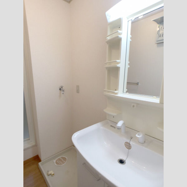 洗面所 (洗髪洗面化粧台)