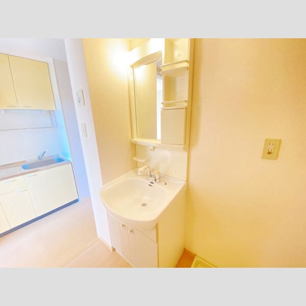 洗面所 (洗髪洗面化粧台)