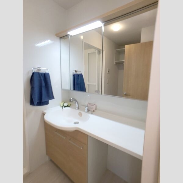 洗面所 (洗髪洗面化粧台)