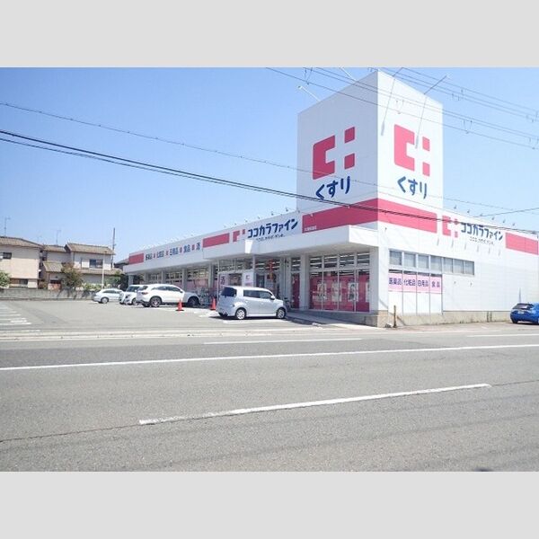 現地周辺 (ドラッグストア)