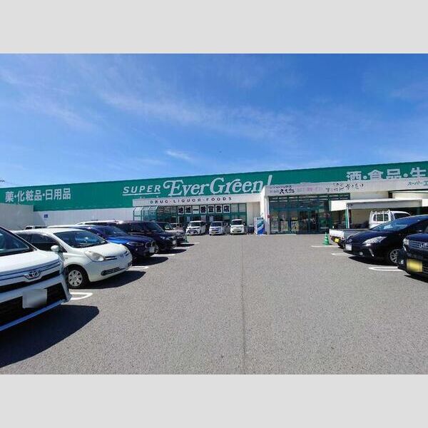 現地周辺 (スーパーエバグリーン宮前店(130m))