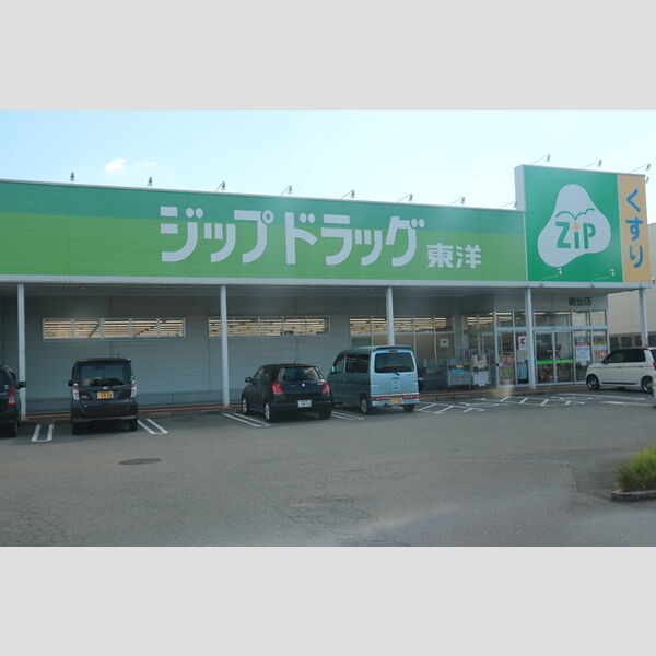 現地周辺 (ココカラファイン　ジップドラッグ岩出店)