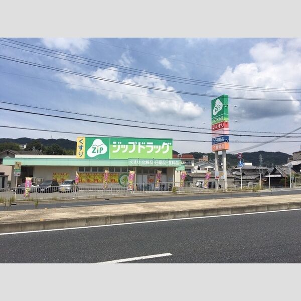 現地周辺 (ジップドラッグ善明寺店(630m))