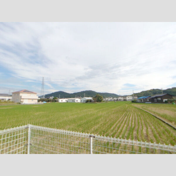 現地周辺 (眺望)