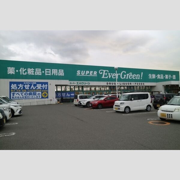 現地周辺 (スーパーエバグリーン四ヶ郷店(1306m))