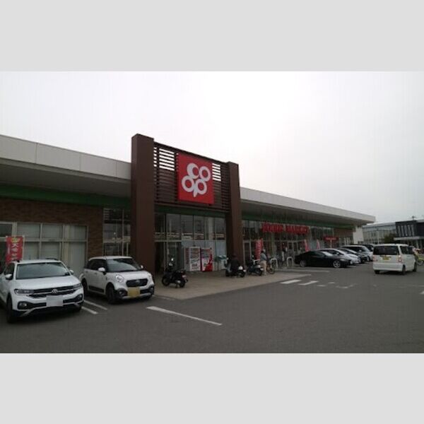 現地周辺 (コープ中之島店745m)