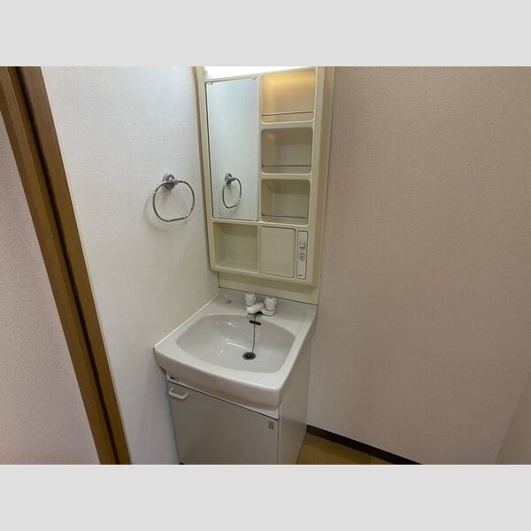 洗面所 (洗髪洗面化粧台)