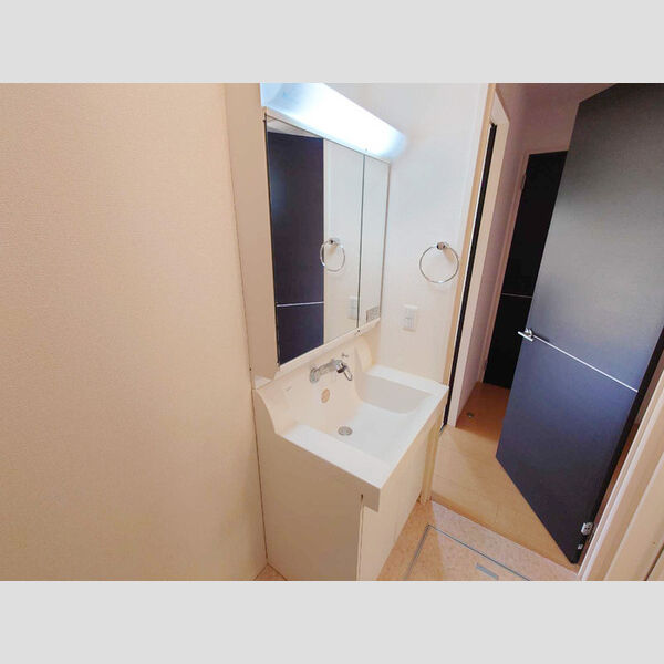 洗面所 (洗髪洗面化粧台)