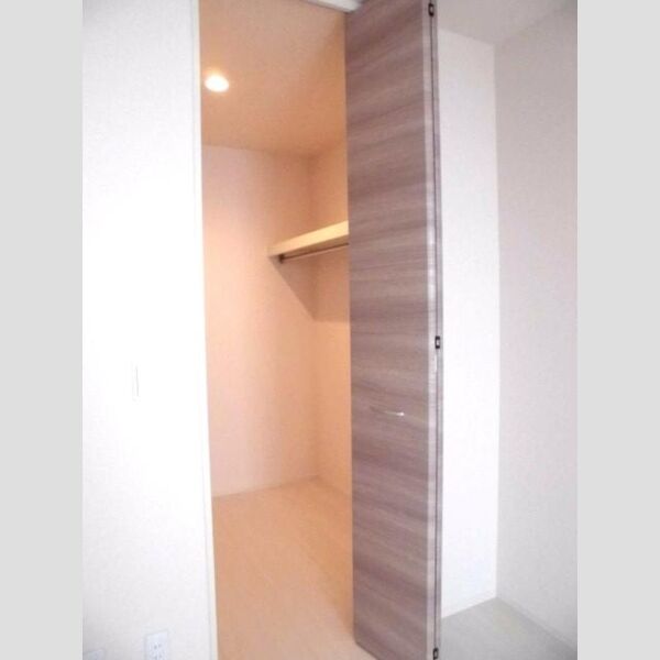 収納 (洋服が多い方へのウォークインクローゼット♪)