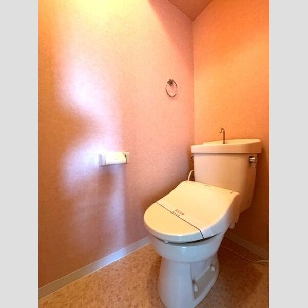 トイレ (温水暖房洗浄便座付きのトイレ)