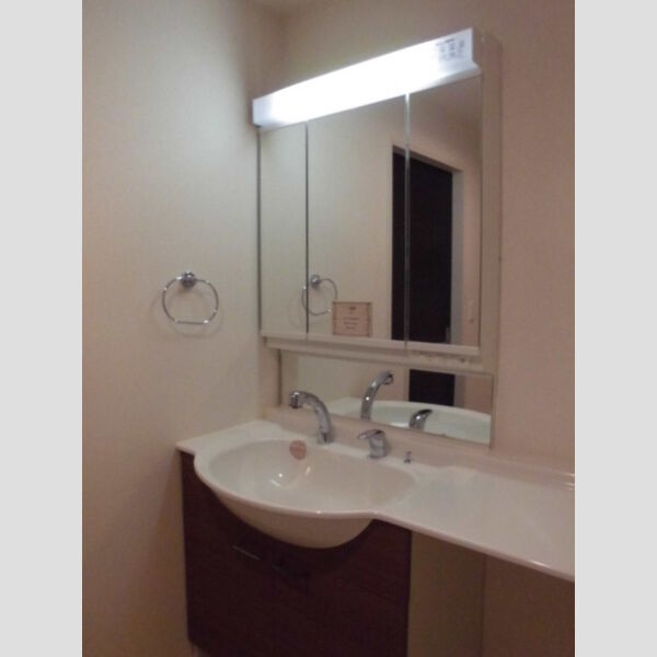 洗面所 (洗髪洗面化粧台)