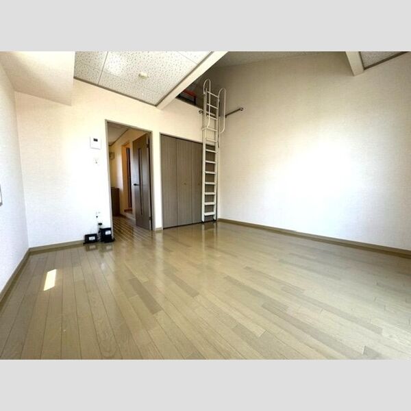 居室・リビング (ロフト付きの洋室)