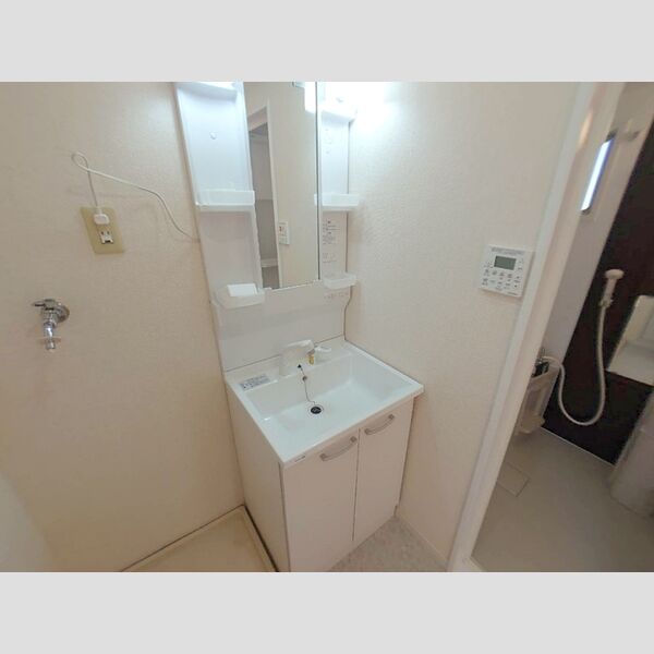 洗面所 (洗髪洗面化粧台)