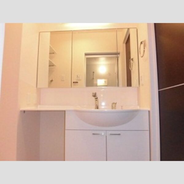 収納 (洗髪洗面化粧台)