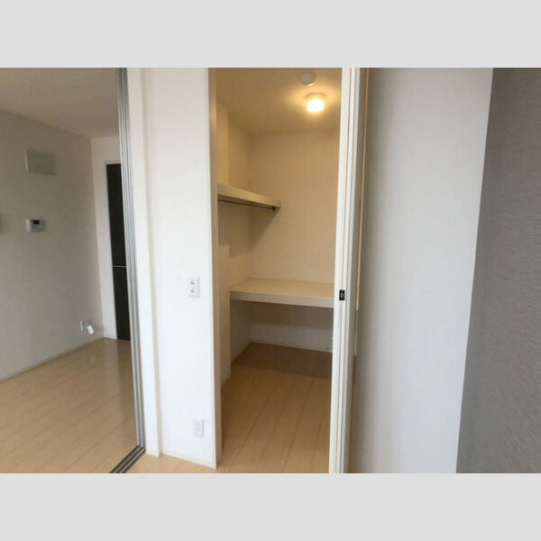 収納 (ウォーキングクローゼット)