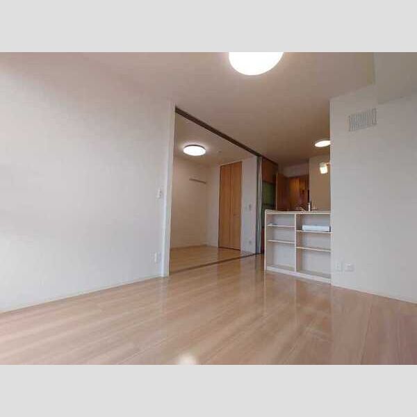 居室・リビング (LDK)