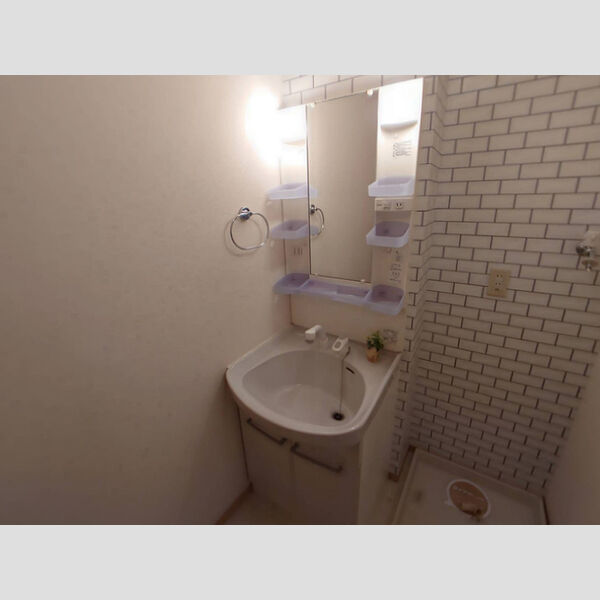 洗面所 (洗髪洗面化粧台)