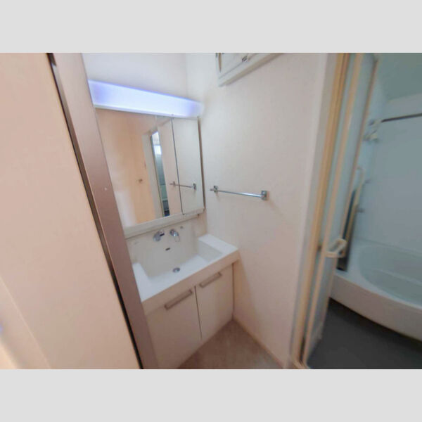 洗面所 (洗髪洗面化粧台)