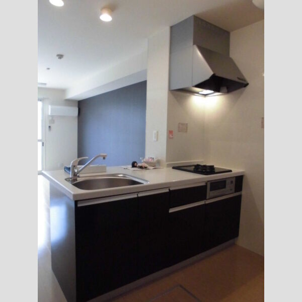 キッチン (2口コンロ付きシステムキッチン♪)