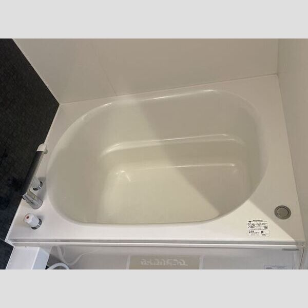 バス